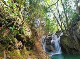 cascadas en el medio de el selva foto