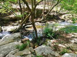 Waterfalls in the middle of the jungle photo