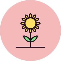 Sunflower Vector Icon