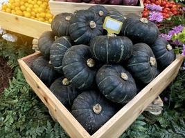 mini pumpkins in wooden basket Available in community stores that sell organic fruits and vegetables. which is planted by people in the community. soft and selective focus. photo