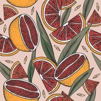 Seamless pattern with grapefruits and leaves vector