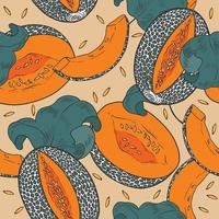 Seamless pattern with Caribbean melon. Cantaloupe melon illustration with seeds. vector