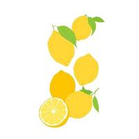 Seamless pattern with lemon fruits and leaves. Fruit repeating background. Vector illustration for fabric or wallpaper