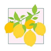 Seamless pattern with lemon fruits and leaves. Fruit repeating background. Vector illustration for fabric or wallpaper