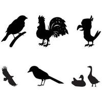 Bird Nerd Silhouette Different Kinds of Bird Birds Silhouette Vector Cute Bird Lover Gift