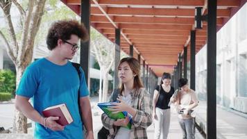 grupo de diverso atractivo casual estudiantes caminando y hablando en pasarela de Universidad video