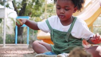 zwart mensen jongen spelen zand in speelplaats in park video