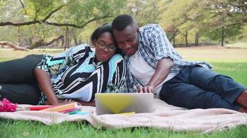 romantisch schwarz Paar haben Picknick im das Park, feiern Jubiläum, Dating