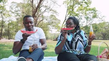 gelukkig Afrikaanse Amerikaans paar aan het eten watermeloen en genieten gedurende picknick samen in park video