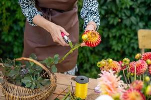 Florist's workflow, pruning dahlia leaves with pruning shears photo