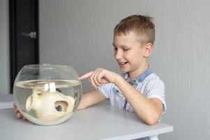 un linda chico es sentado cerca un transparente acuario en el habitación y tocando en el acuario con su dedo foto