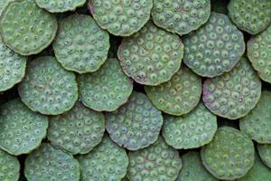 Stack of lotus seed pods on a market stall photo