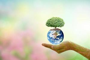 concept of saving the world tree on human hand photo