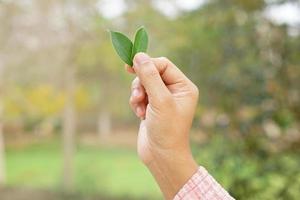 concept of saving the world leaves in human hands photo