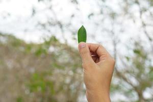 concept of saving the world leaves in human hands photo