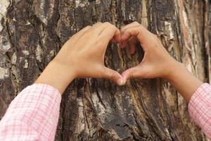 concept of saving the world Human hand touching a tree photo