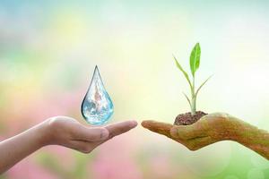 concept of saving the world Tree and water droplets on human hands photo