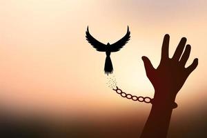 Freedom concept. The top dove leaves the broken chain from the prisoner's arm. photo