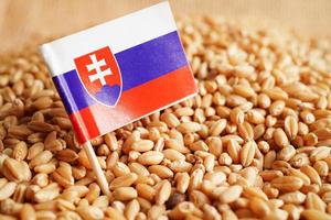 Slovakia on grain wheat, trade export and economy concept. photo