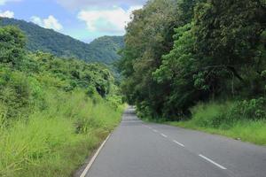 A beautiful fall trees with road drive through a forest photo