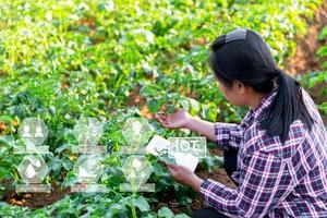 A woman farmer with digital tablet on a potato field. Smart farming and precision agriculture 4.0. modern agricultural technology and data management to industry farm. photo