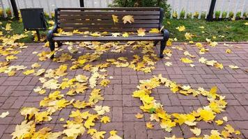 A wooden bench in the park and a heart of autumn yellow maple leaves on the red garden path photo