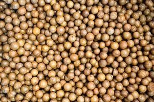 macadamia nuts texture background, fresh natural shelled raw macadamia nuts in a full frame, close up pile of roasted macadamia nut - top view photo