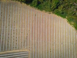 high angle view of agriculture , aerial view rows of crop fields top view - rows of soil planting plant sowing seeds on a plantation in the farm and agricultural concept. photo