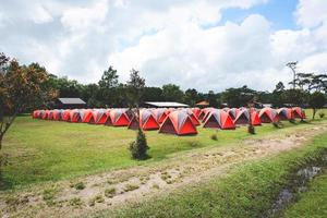 Camping tent colorful stand in a line with pine tree background in the area tent photo