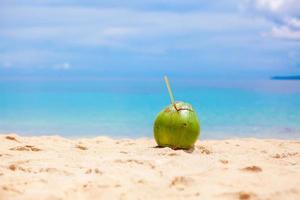 View of a coconut on the beach photo