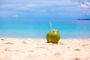 View of a coconut on the beach photo