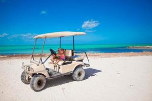 Scenic beach view photo