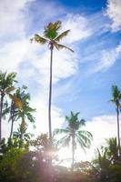 Scenic beach view photo