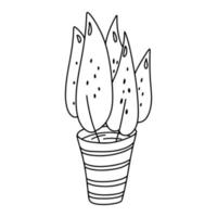 House plant in hand drawn doodle style. Simple illustration of plant on house pot vector. vector