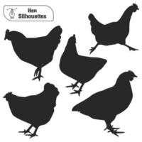 colección de pollo o gallina siluetas vector