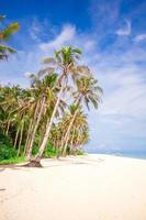 Scenic beach view photo