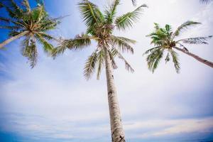 Scenic beach view photo