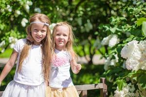 Little sisters by beautiful white flowers photo