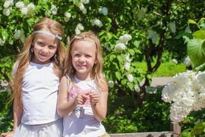 Little sisters by beautiful white flowers photo