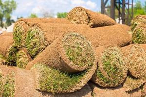 Rolled grass close-up photo