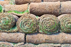 Rolled grass close-up photo