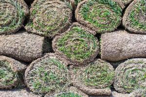 Rolled grass close-up photo