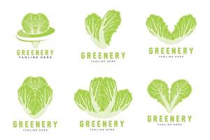 diseño de logotipo de repollo chino vector de planta verde kimchi ingredientes alimentarios
