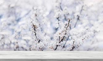 Empty Glossy marble shelf on Cherry blossom,Grey nature Marble table top on Defocused White Sakura flowers and light,Horizon scene Backdrop Background Display for Spring, Summer Product presentation photo