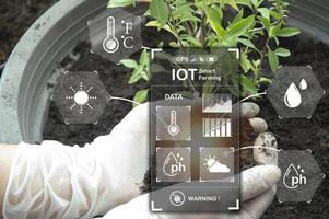 The concept of new farming or smart farming, agricultural technology photo