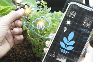 The concept of new farming or smart farming, agricultural technology photo