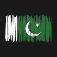 cepillo de bandera de pakistán vector