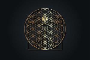 Flower of Life on Vitruvian Man by Leonardo Da Vinci - Sacred Geometry, logo design, luxury gold texture, vector illustration isolated on black background