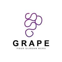 Grape Fruit Logo, Circle Style Fruit Design, Grape Farm Vector, Wine Drink, Nature Icon, Illustration Template vector