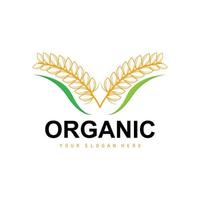 Wheat Rice Logo, Agricultural Organic Plants Vector, Luxury Design Golden Bakery Ingredients vector